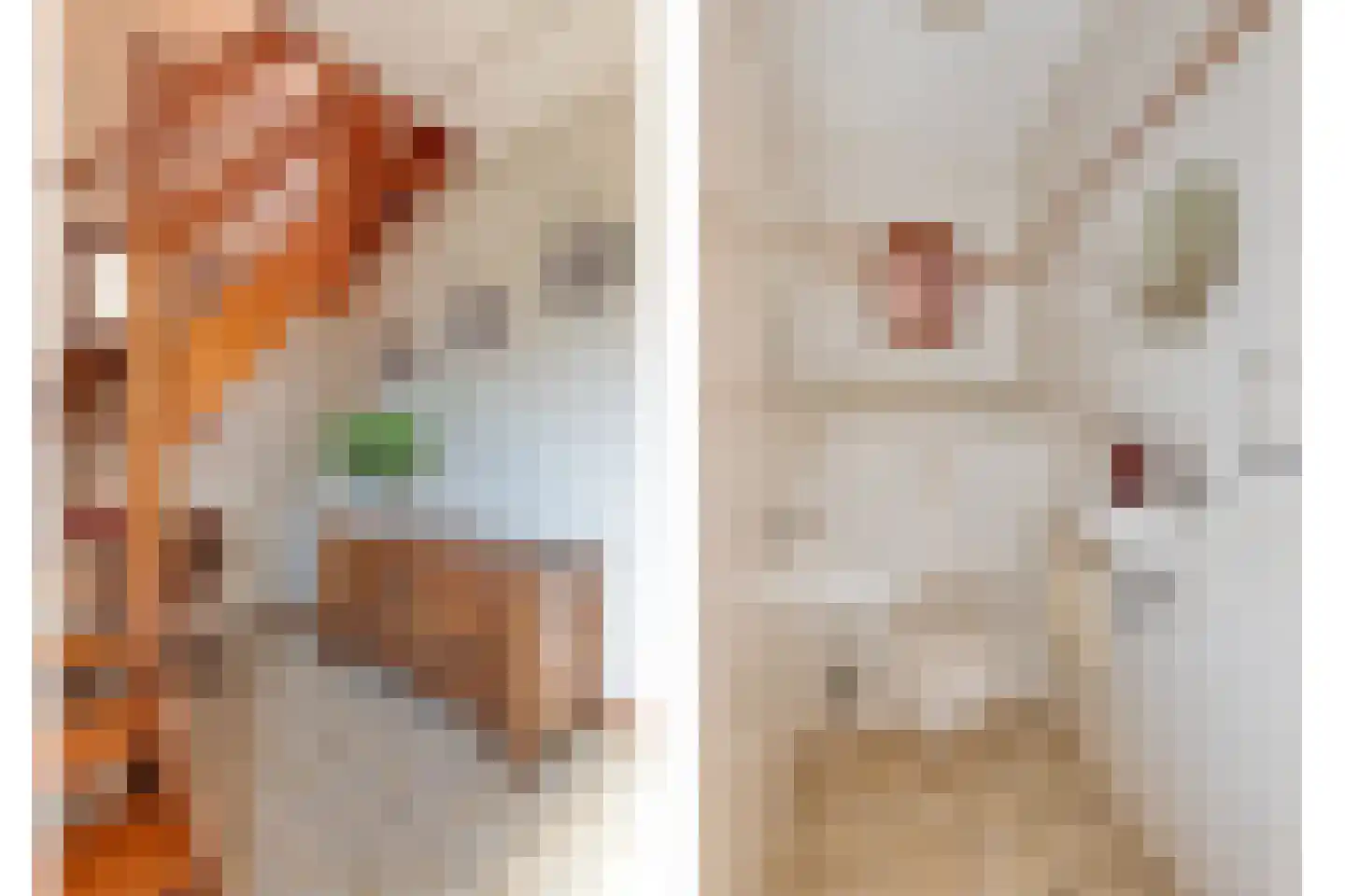 Schutsestraat 4 Prinsenbeek thumbnail 7