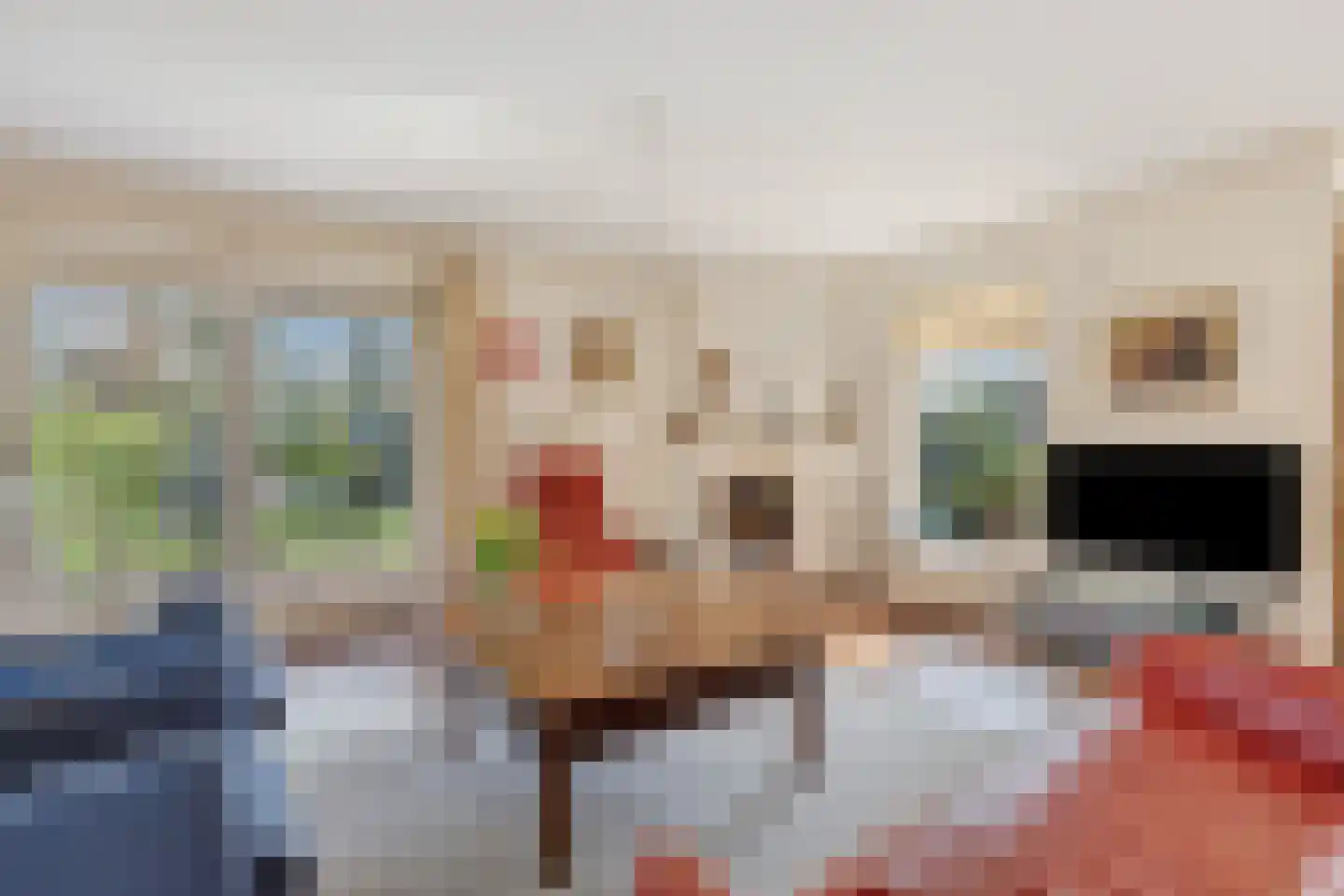 Schutsestraat 4 Prinsenbeek thumbnail 9