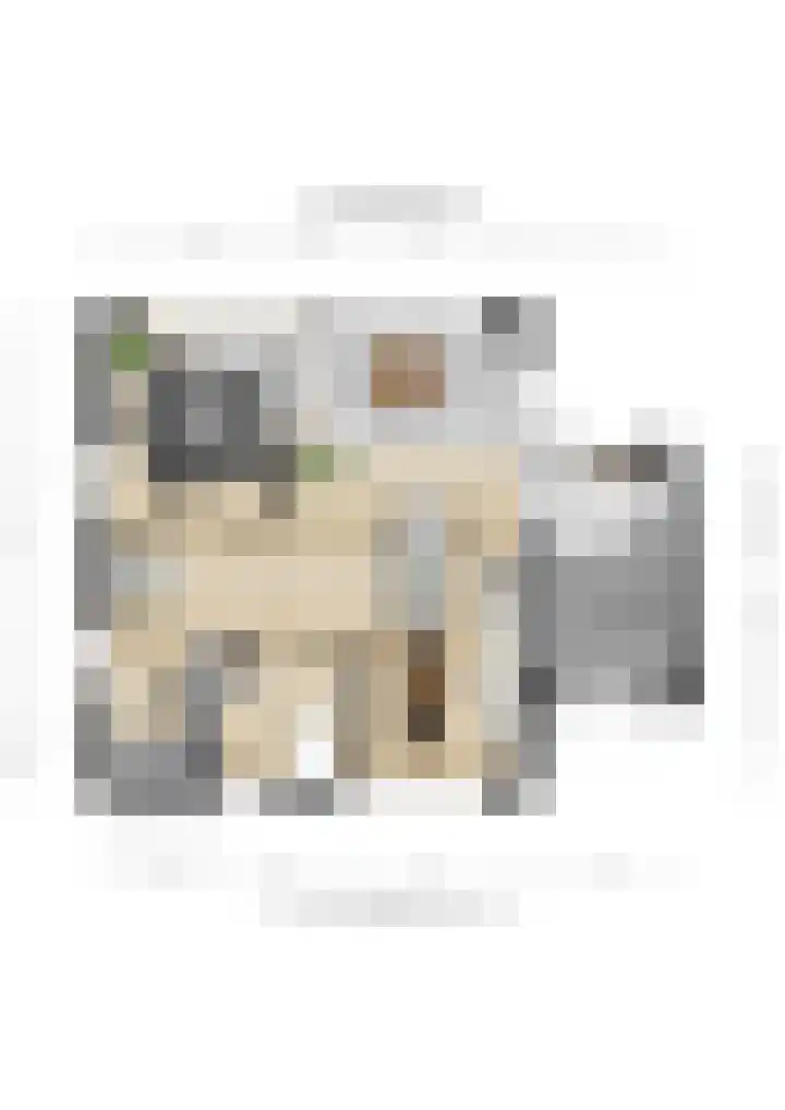 Schutsestraat 41 A Prinsenbeek thumbnail 54