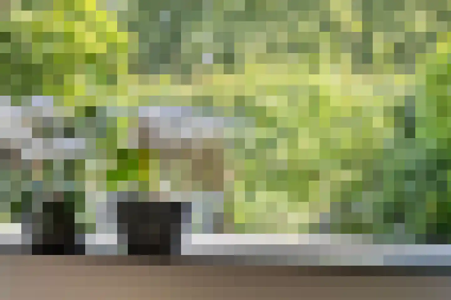 Schutsestraat 7 Prinsenbeek thumbnail 10