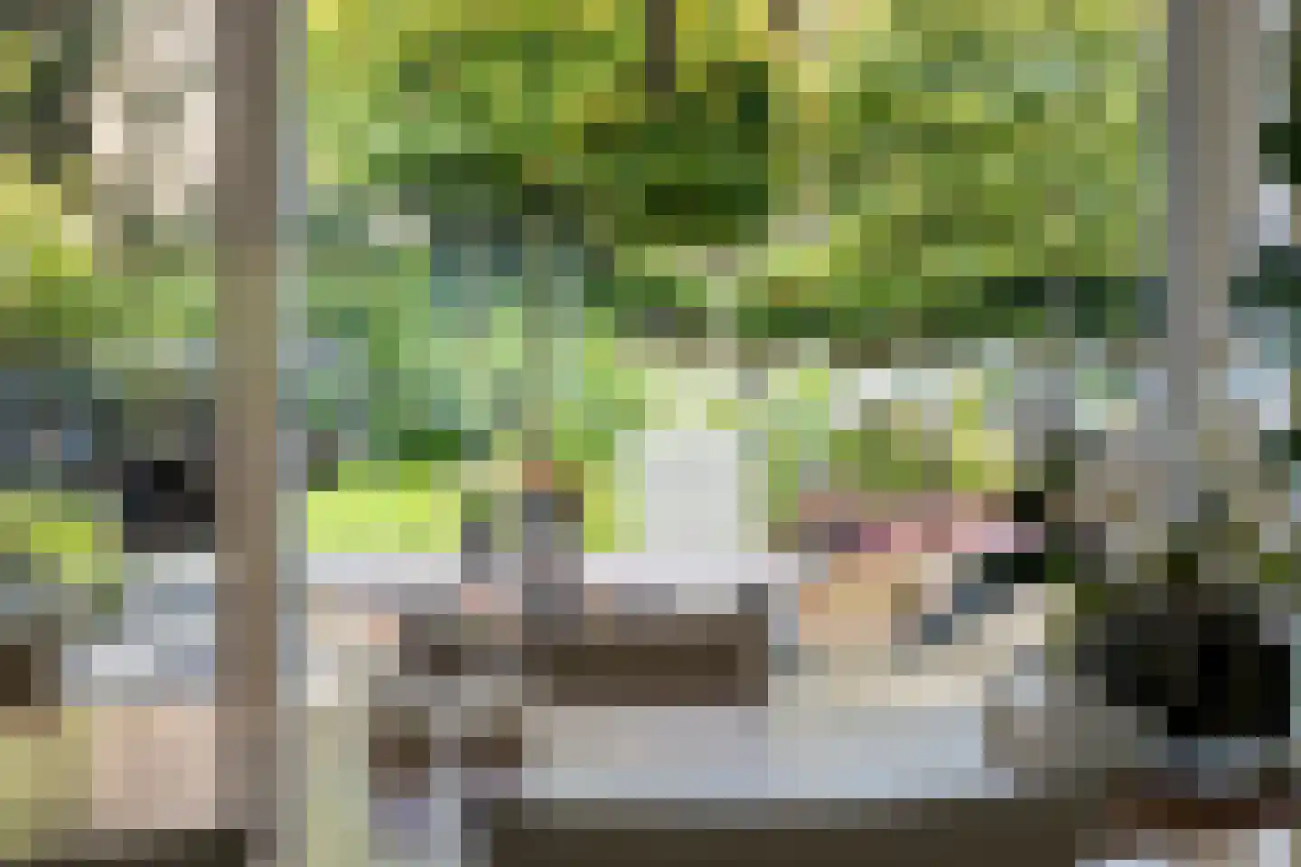 Schutsestraat 7 Prinsenbeek thumbnail 11