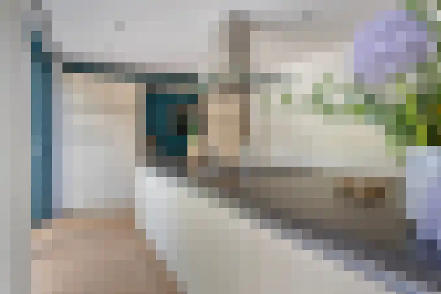 Schutsestraat 7 Prinsenbeek thumbnail 14