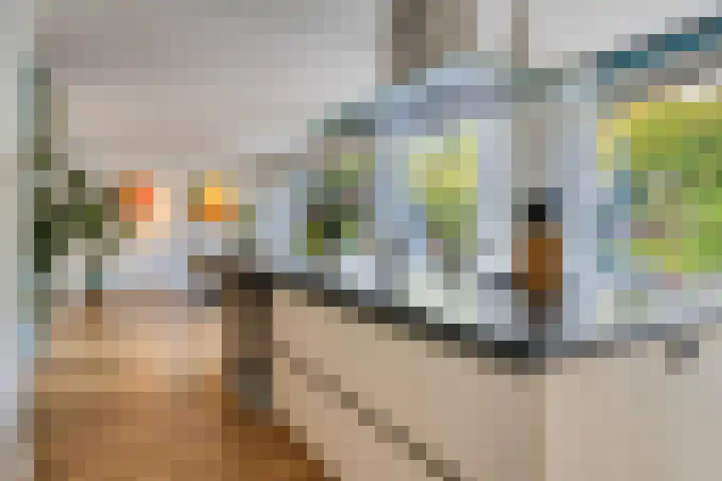 Schutsestraat 7 Prinsenbeek thumbnail 16