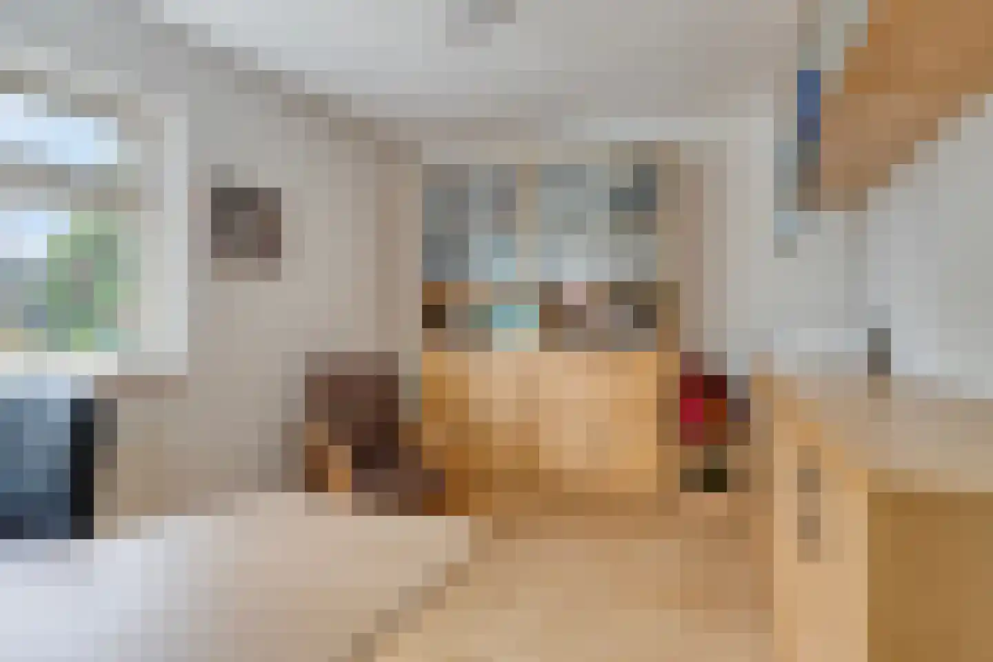 Schutsestraat 7 Prinsenbeek thumbnail 22