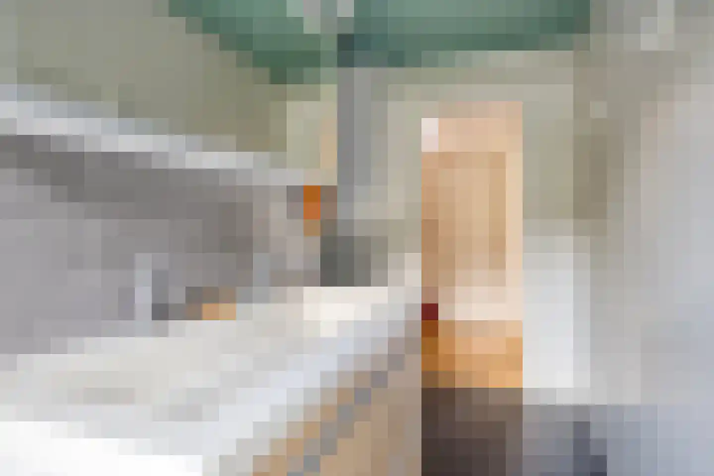 Schutsestraat 7 Prinsenbeek thumbnail 25