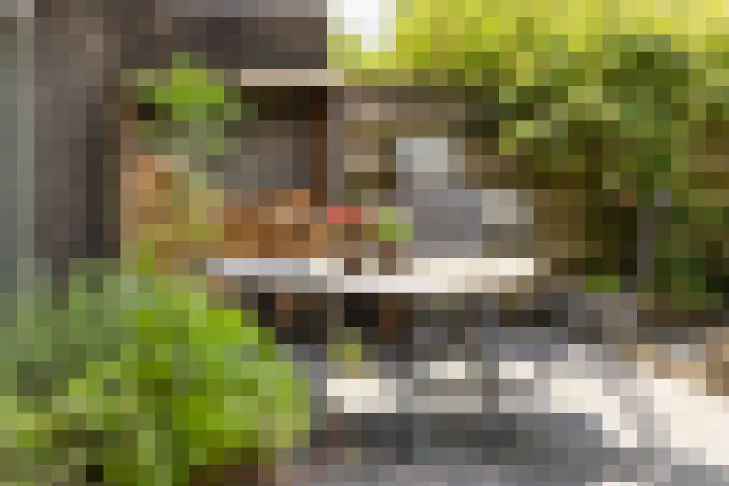 Schutsestraat 7 Prinsenbeek thumbnail 29