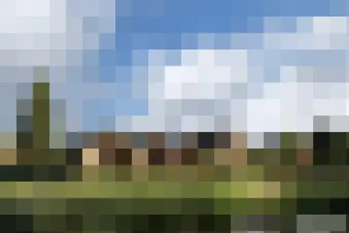 Schutsgildelaan 31 Etten-Leur thumbnail 10