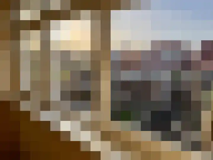 Schutsgildelaan 31 Etten-Leur thumbnail 17