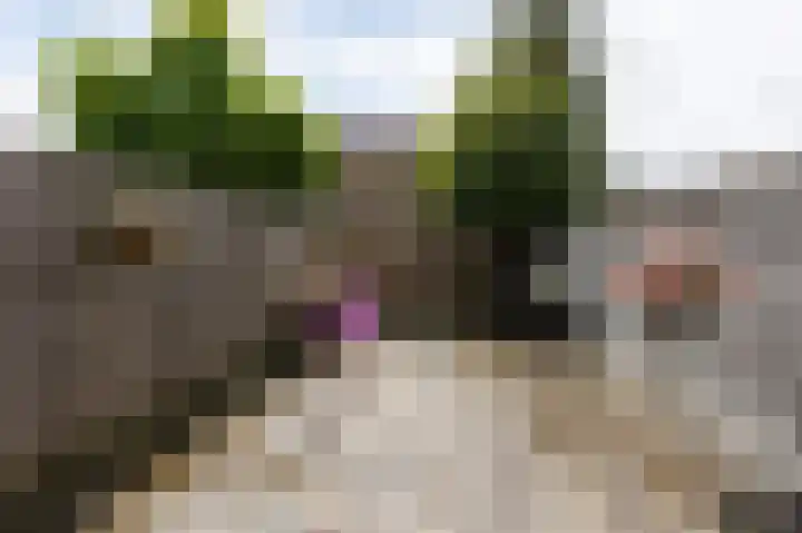 Schutsgildelaan 31 Etten-Leur thumbnail 18