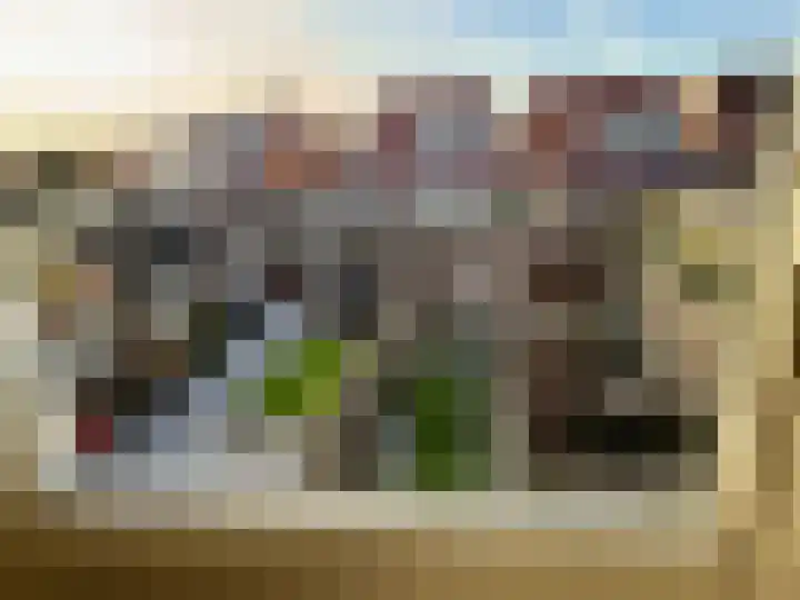 Schutsgildelaan 31 Etten-Leur thumbnail 22
