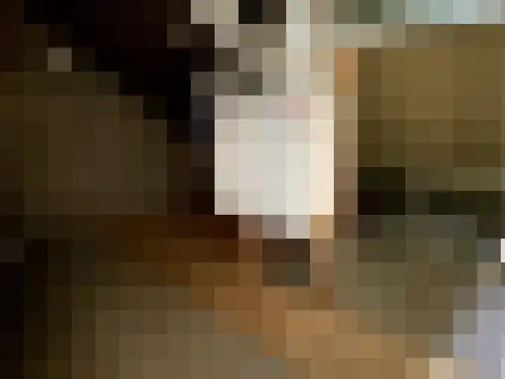 Schutsgildelaan 31 Etten-Leur thumbnail 27