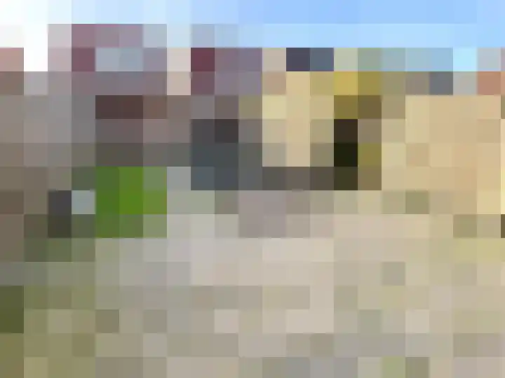 Schutsgildelaan 31 Etten-Leur thumbnail 29