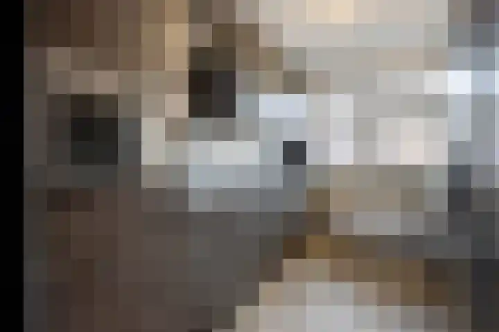 Schutsgildelaan 34 Etten-Leur thumbnail 17