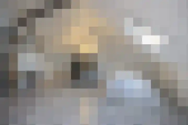 Schutsgildelaan 34 Etten-Leur thumbnail 31