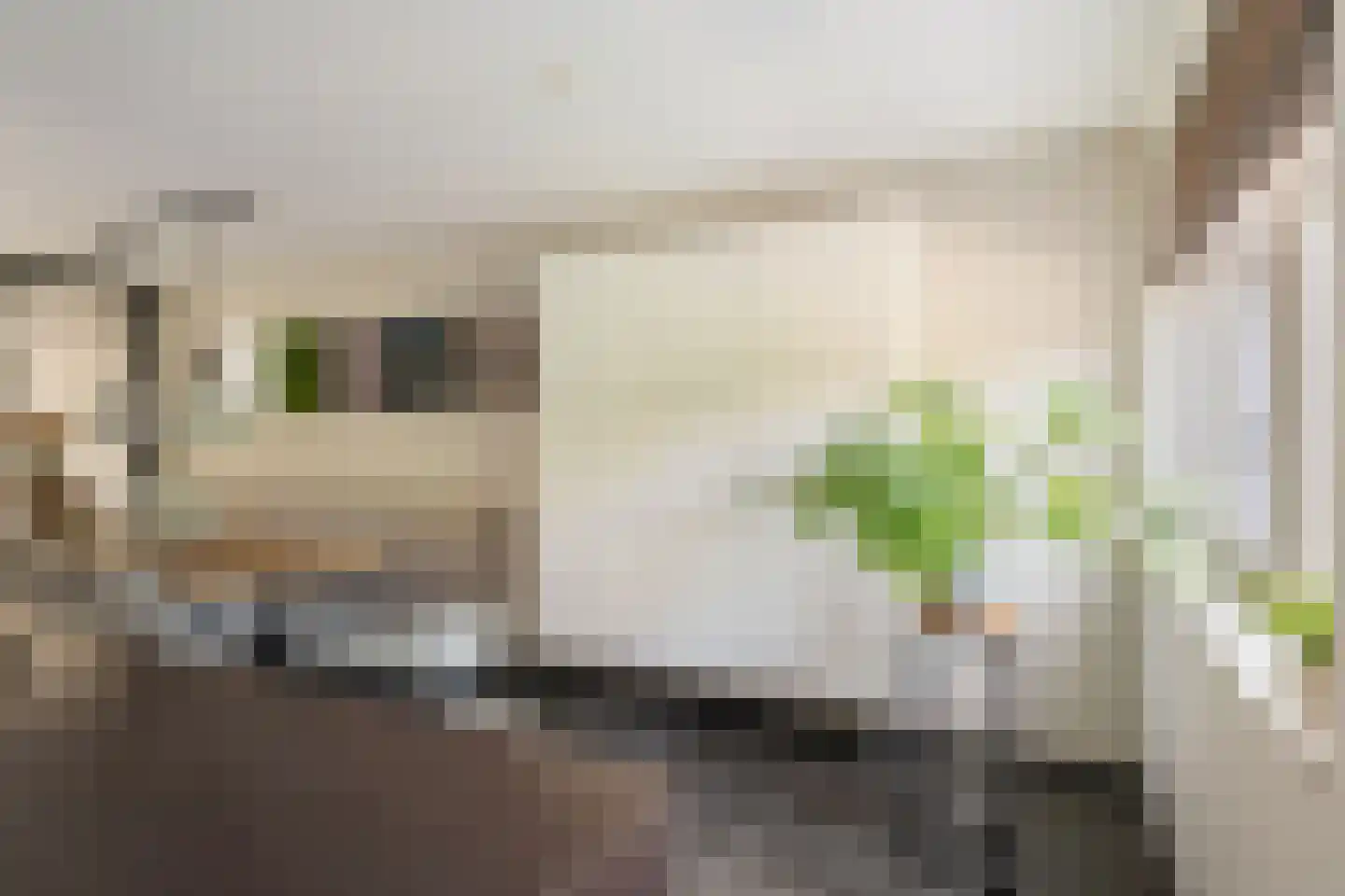 Schutsgildelaan 5 Etten-Leur thumbnail 27