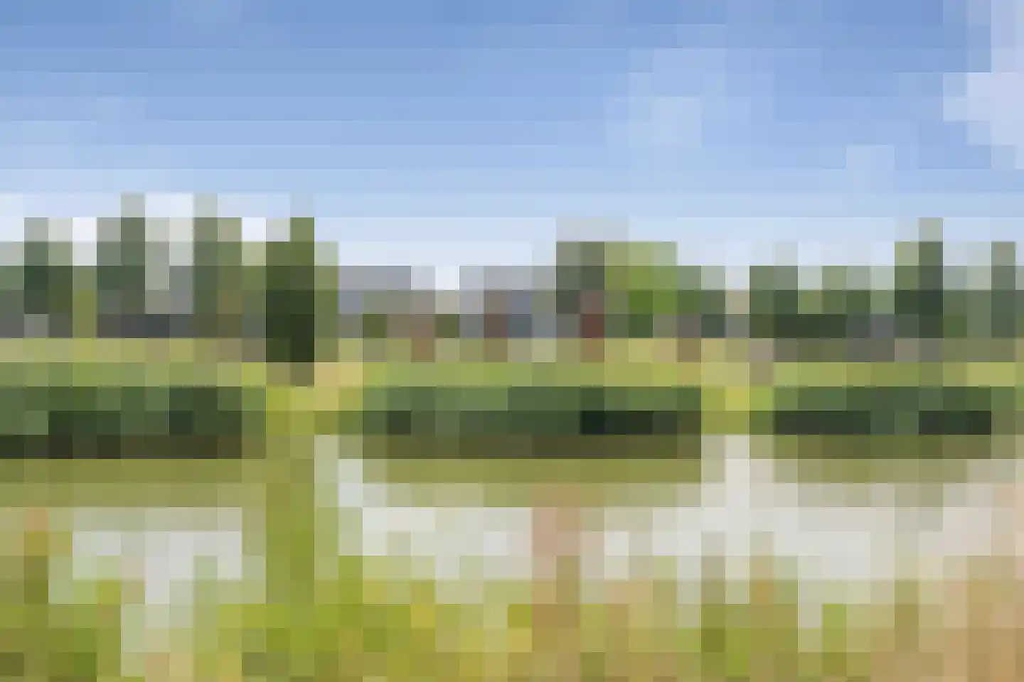 Schutsgildelaan 5 Etten-Leur thumbnail 69