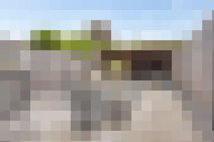 Schutsgildelaan 86 Etten-Leur thumbnail 35