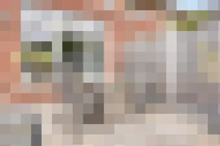 Schutsgildelaan 86 Etten-Leur thumbnail 36