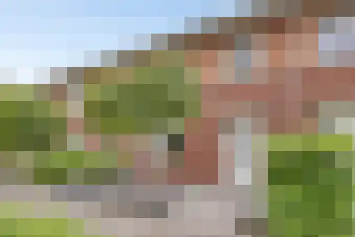 Schutsgildelaan 86 Etten-Leur thumbnail 8