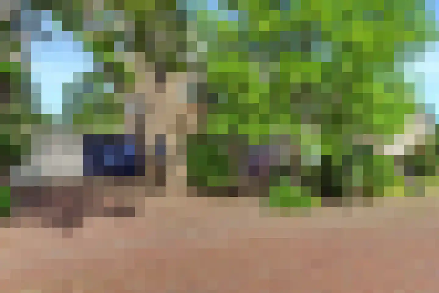 Schutskooi 3 Gorinchem thumbnail 4