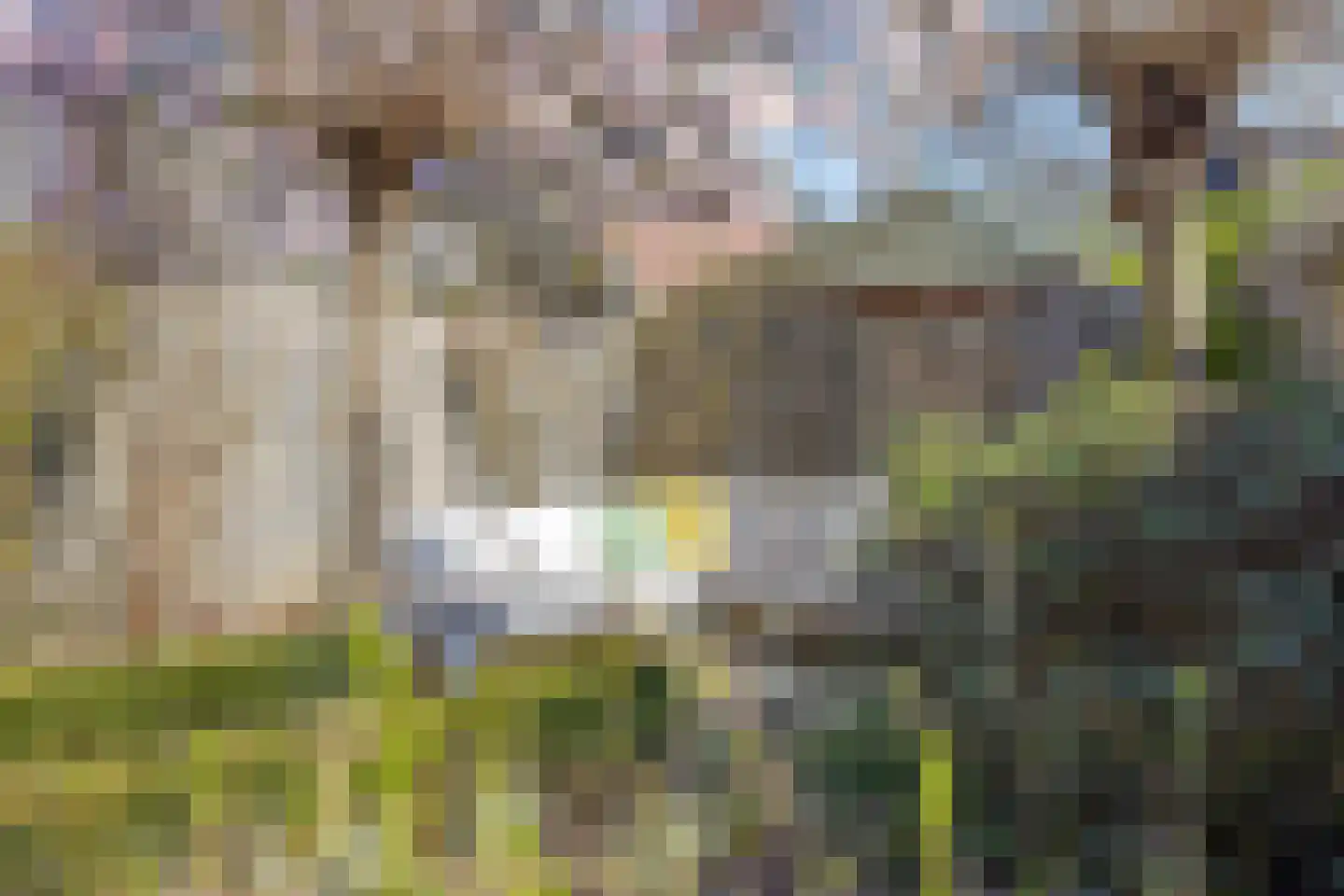 Schutskooi 7 Berlicum thumbnail 37