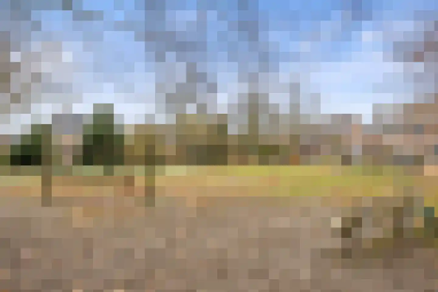 Schutskooi 7 Berlicum thumbnail 44