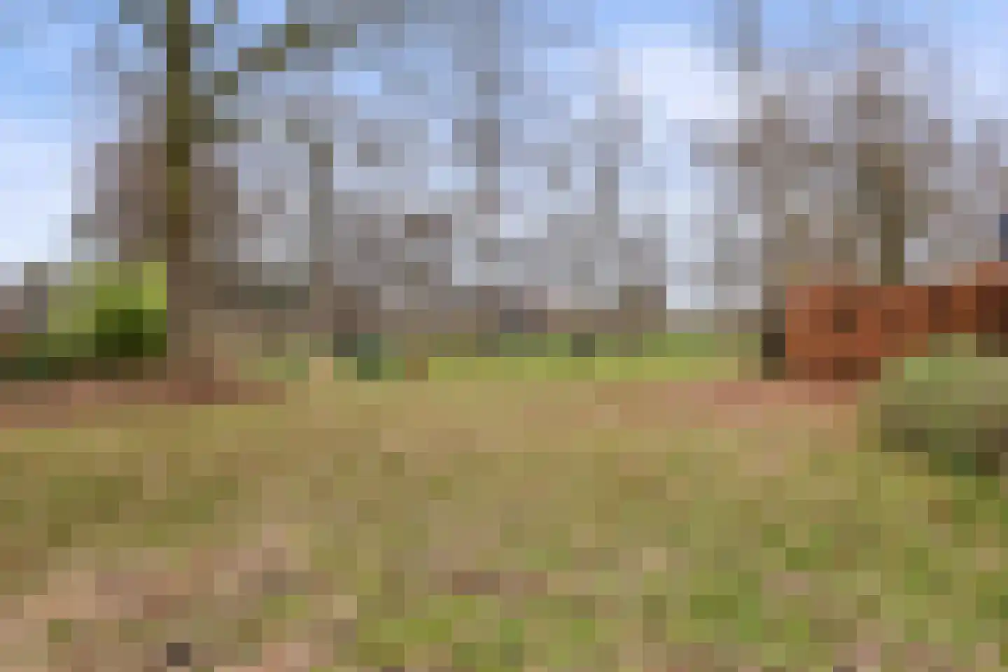Schutskooi 7 Berlicum thumbnail 45