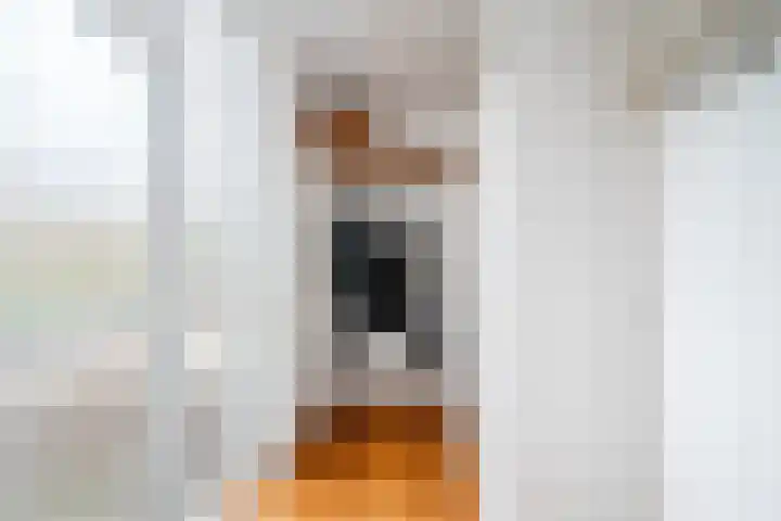 Schutsluis 1 Grootebroek thumbnail 17