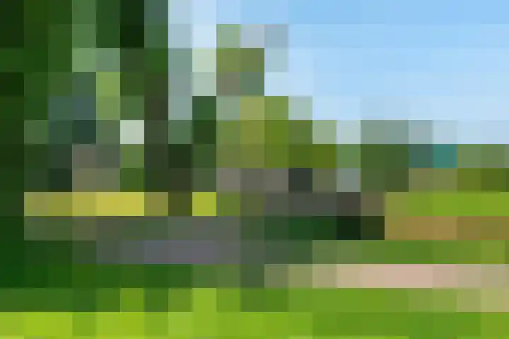 Schutsluis 35 Grootebroek thumbnail 37