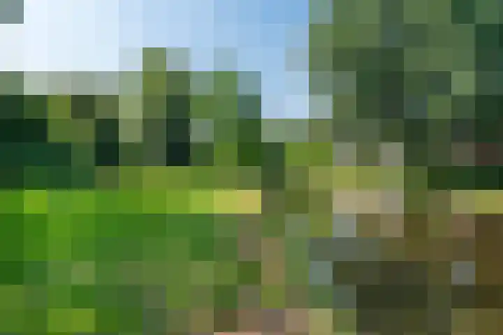Schutsluis 35 Grootebroek thumbnail 38