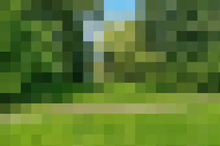Schutsluis 35 Grootebroek thumbnail 39