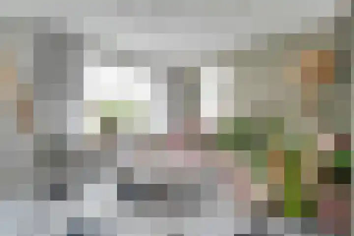 Schutsluis 7 Balkbrug thumbnail 13