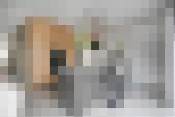 Schutsluis 7 Balkbrug thumbnail 17