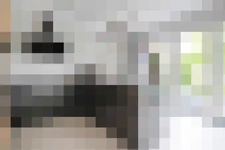 Schutsluis 7 Balkbrug thumbnail 20