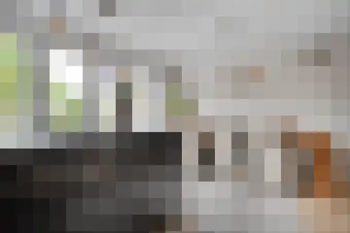 Schutsluis 7 Balkbrug thumbnail 21