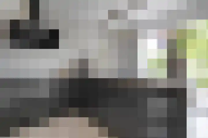 Schutsluis 7 Balkbrug thumbnail 22