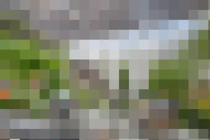 Schutsluis 7 Balkbrug thumbnail 38