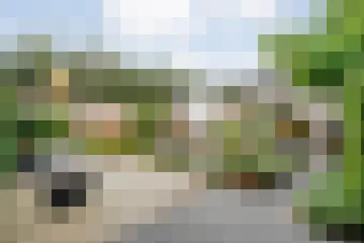 Schutsluis 7 Balkbrug thumbnail 39