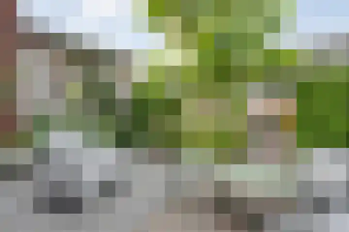 Schutsluis 7 Balkbrug thumbnail 42