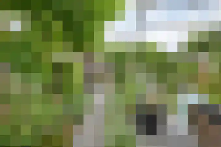 Schutsluis 7 Balkbrug thumbnail 43