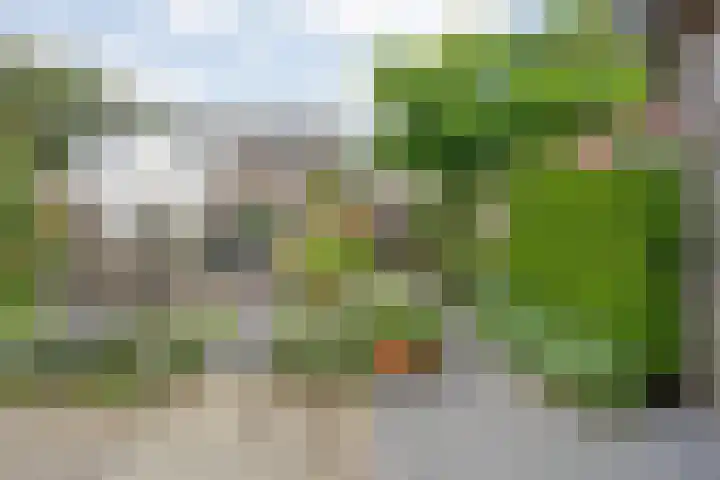 Schutsluis 7 Balkbrug thumbnail 44