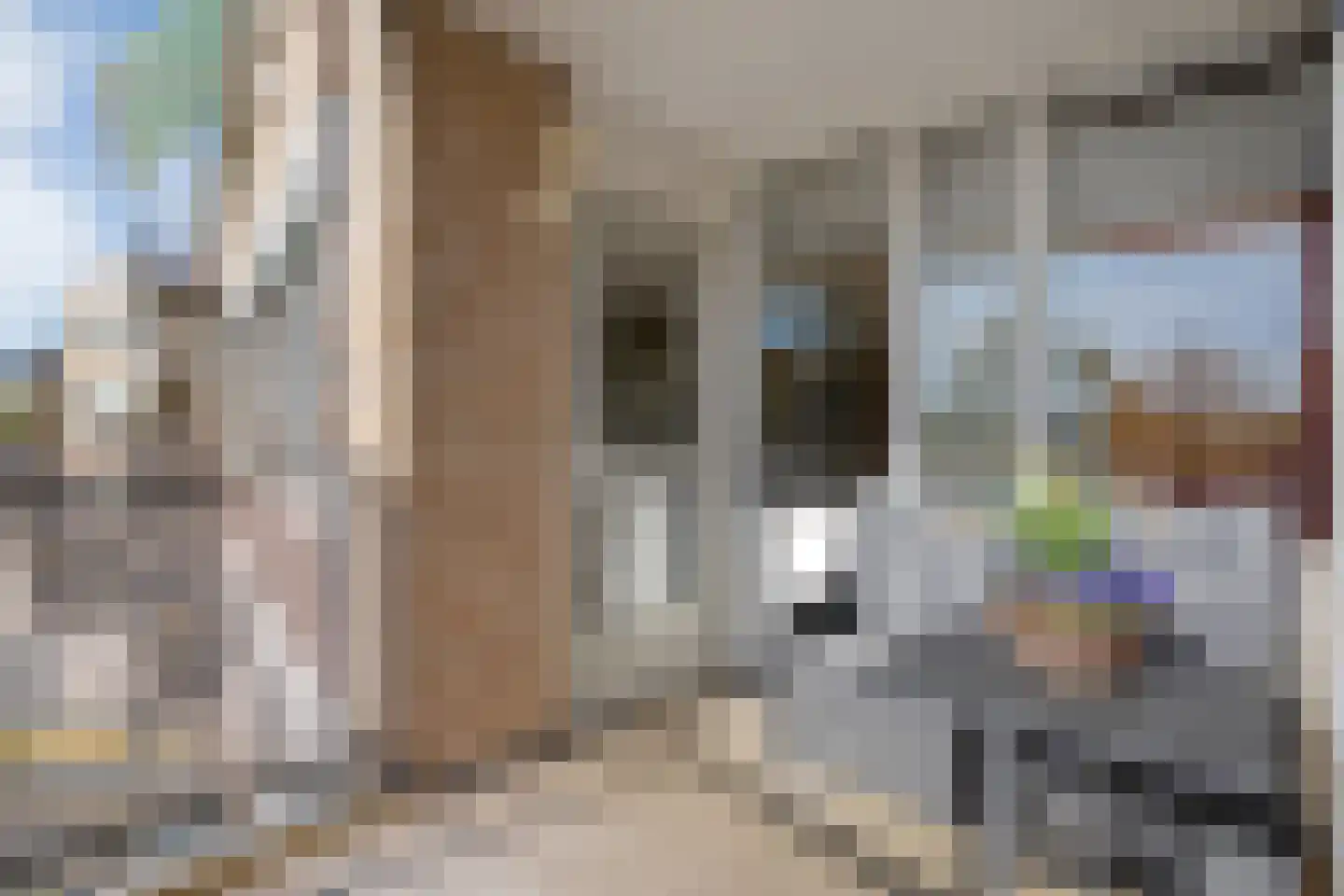 Schutsplein 56 Hoogeveen thumbnail 26