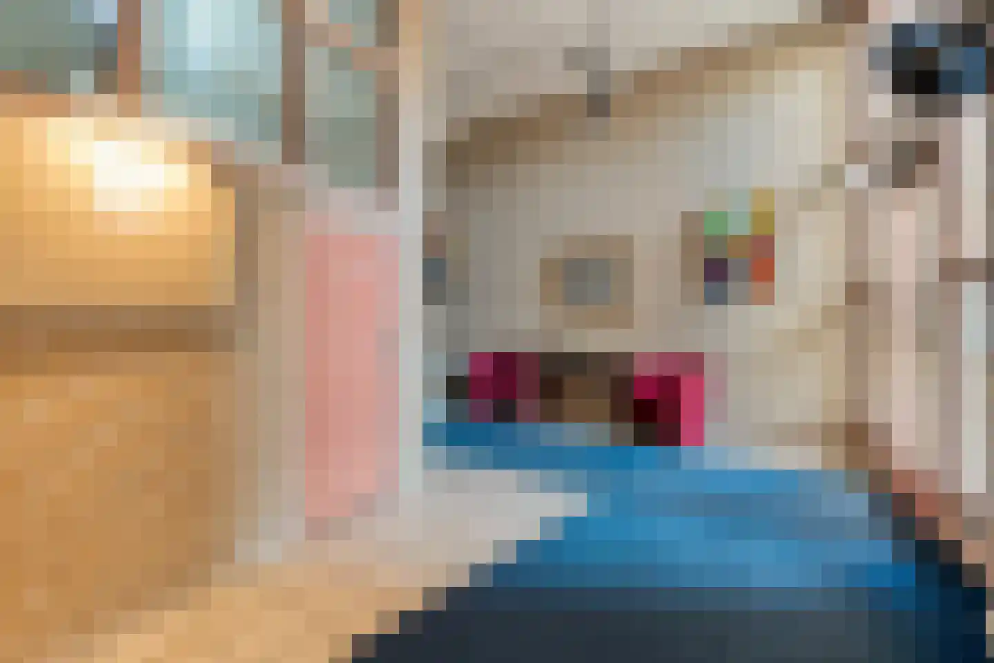 Schutsplein 56 Hoogeveen thumbnail 7