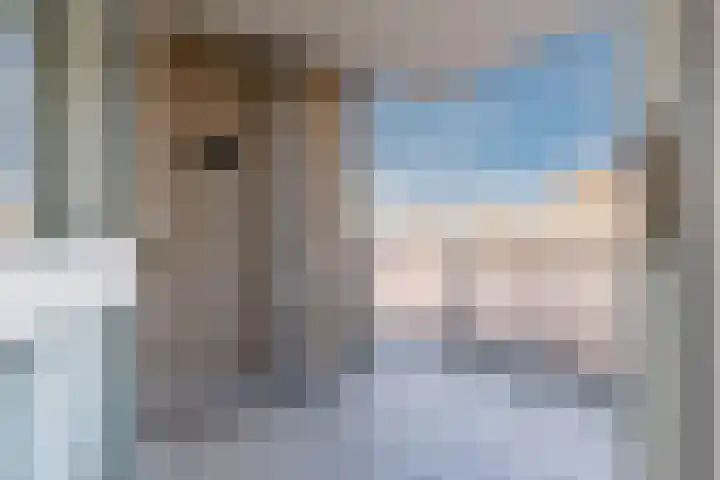 Schutsplein 78 Hoogeveen thumbnail 35