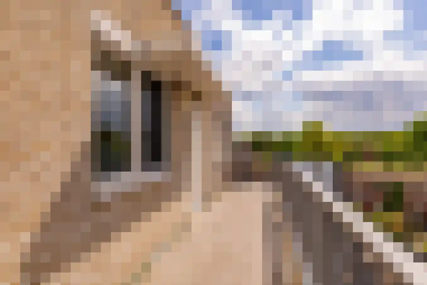 Schutsplein 88 Hoogeveen thumbnail 33