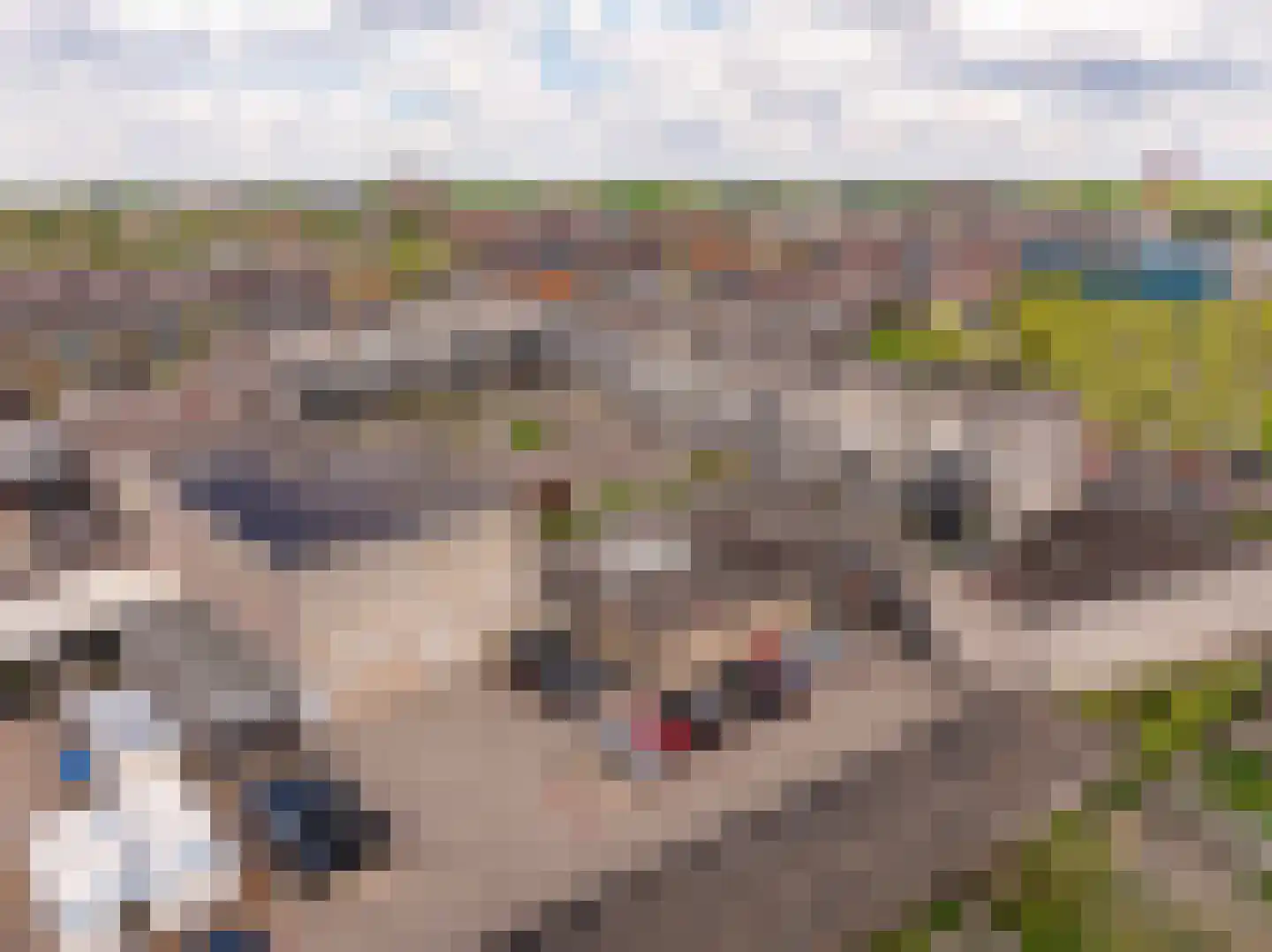 Schutsplein 88 Hoogeveen thumbnail 44