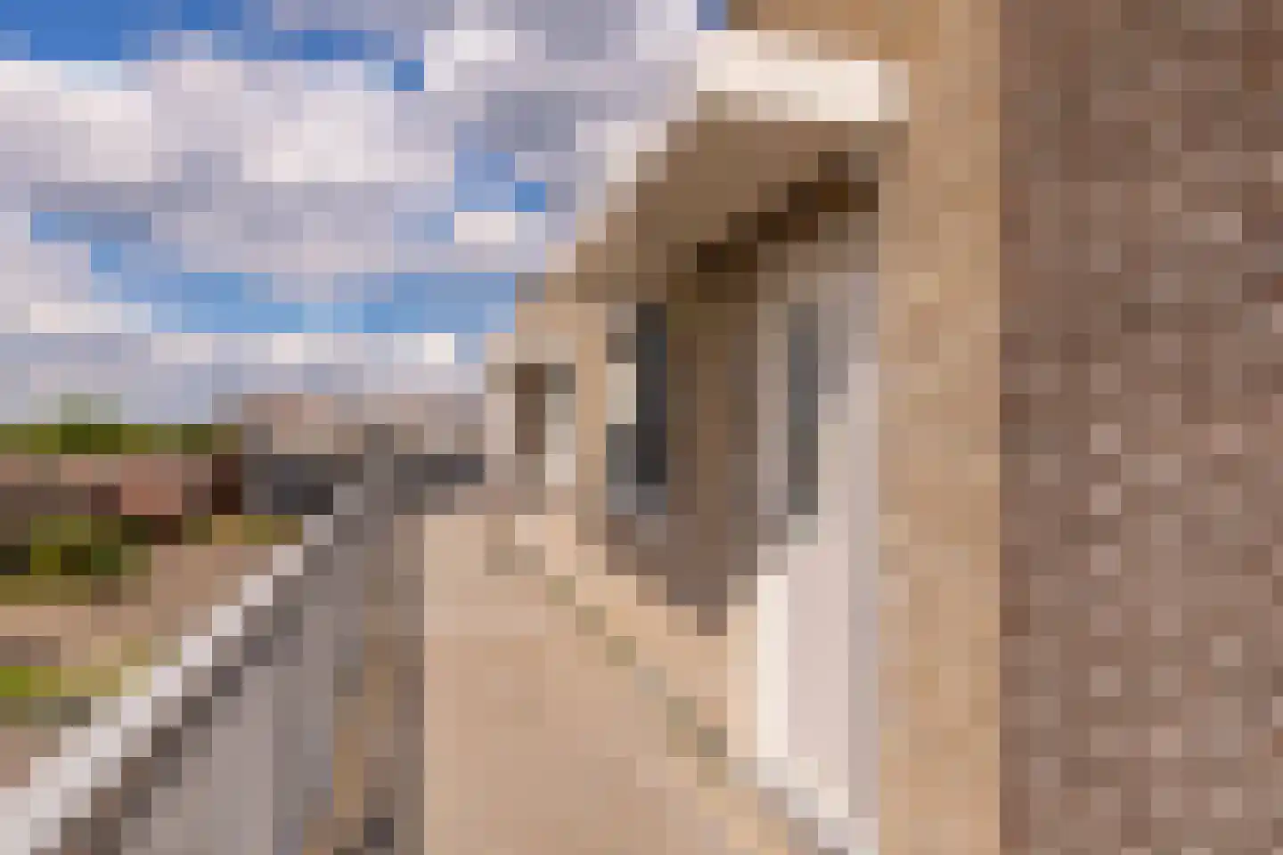 Schutsplein 88 Hoogeveen thumbnail 6