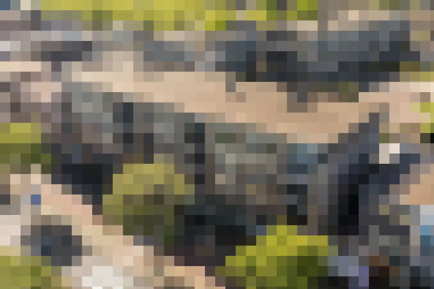 Schutsplein 98 Hoogeveen thumbnail 37