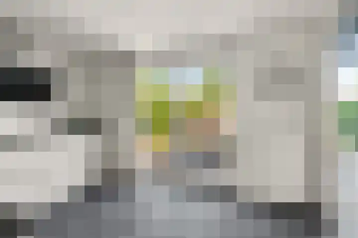 Schutstal 35 Zevenaar thumbnail 16