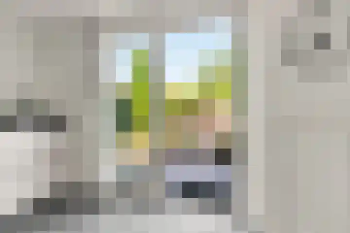 Schutstal 35 Zevenaar thumbnail 17